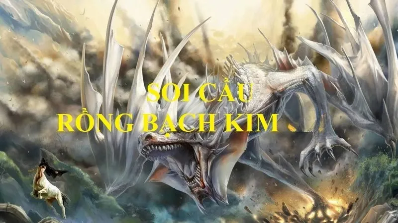 Chốt số rồng bạch kim tại SHBET là điều đúng đắn