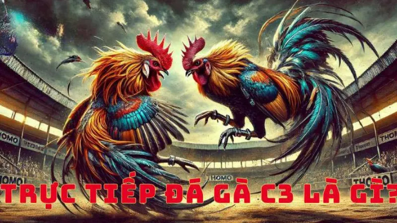 Giới thiệu trận đấu trực tiếp đá gà C3