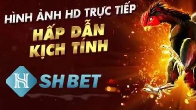 Luật chơi và cách đặt cược để cực kỳ đơn giản