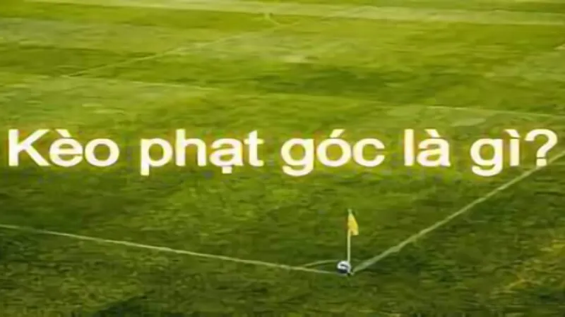 Tổng hợp kèo phạt góc cho người mới